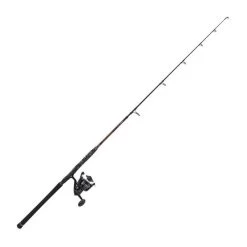 ENSEMBLE PENN LEGION CAT BRONZE VERTICAL COMBO