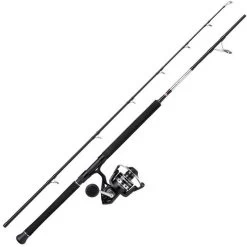 ENSEMBLE SPINNING PENN PURSUIT IV BOAT COMBO