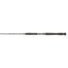 PENN Legion Gold Inliner Cast Catfish Rod