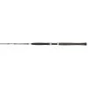 PENN Legion Silver Inliner Catfish Rod