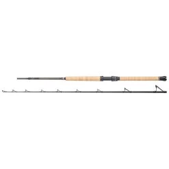 PENN Regiment III Pro Boat Trolling Rod