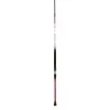 PENN Squadron II Boat Braid Trolling Rod