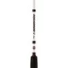 PENN Squadron II Labrax Shore Spinning Rod