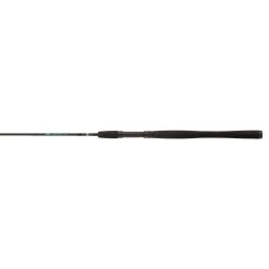 PENN Wrath Spinning Rod