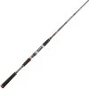 ROD PENN OVERSEAS XT INSHORE