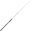 SPINNING ROD PENN CONFLICT JIGGING