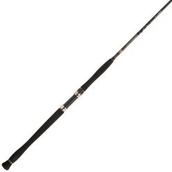 SPINNING ROD PENN LEGION CAT GOLD INLINER
